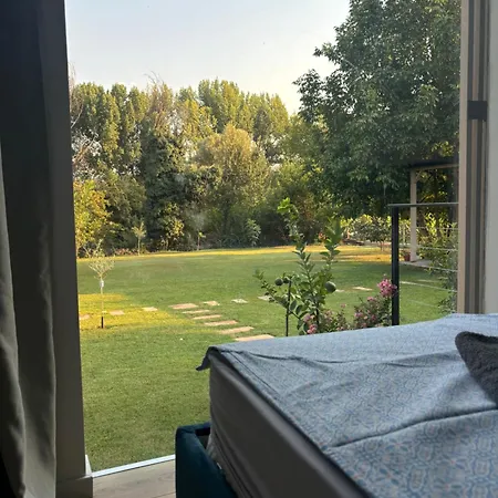 Zen