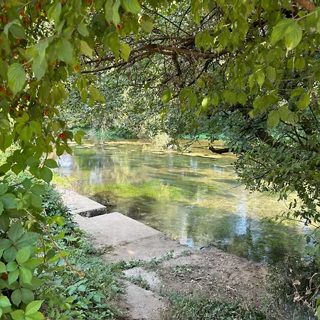 Zen 빌라 Buna