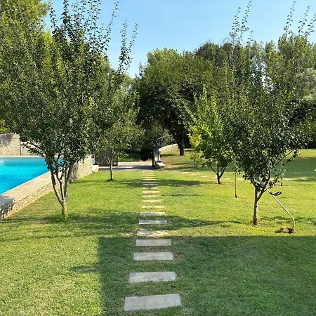 Zen * Buna
