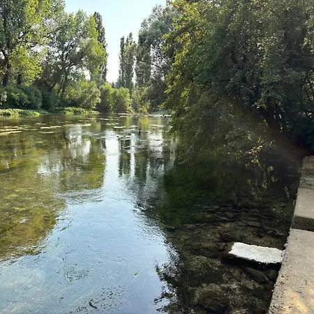 فيلة Zen Buna