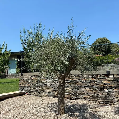 Zen Villa Buna