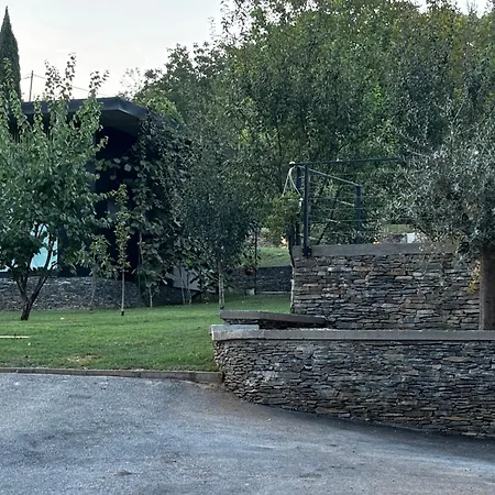 Zen فيلة Buna
